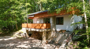 Wellness chata Chalet de Glatz, Komorní Lhotka